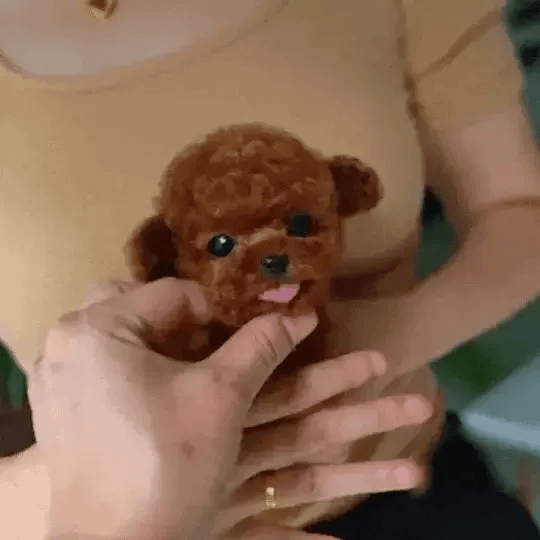 🐶🌭Nicco - My Realistic Robot Puppy